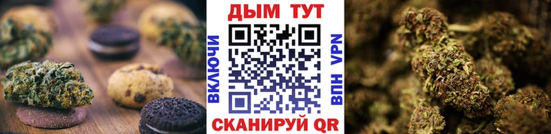 Cannafood конопля  Долгопрудный 