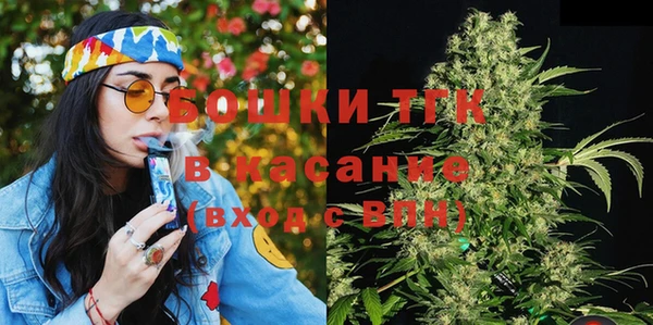 стаф Бородино