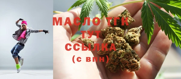 стаф Бородино