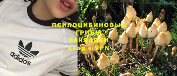 стаф Бородино