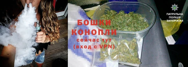 стаф Бородино